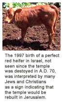 red-hiefer-1997.jpg